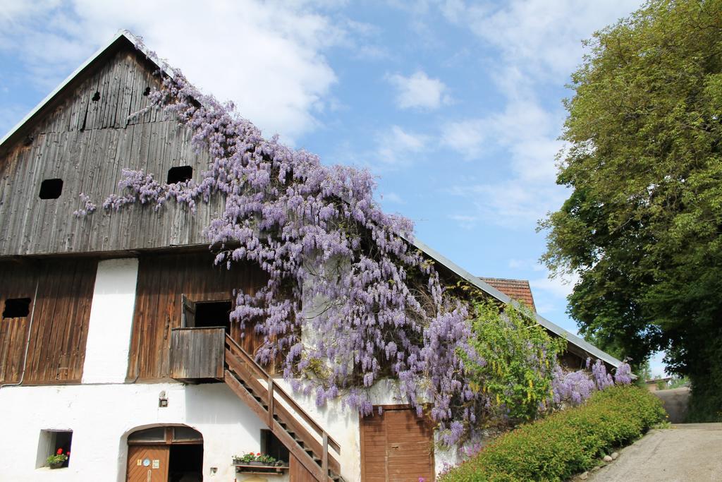 Pension Neuhof 奥西阿赫 外观 照片